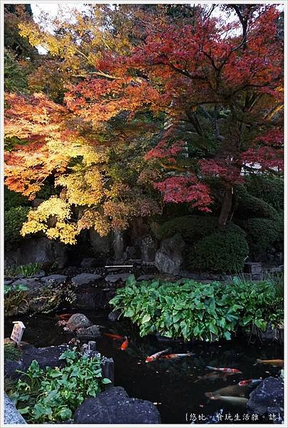 鎌倉-218-長谷寺.JPG