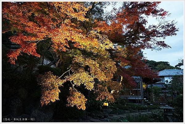 鎌倉-221-長谷寺.JPG