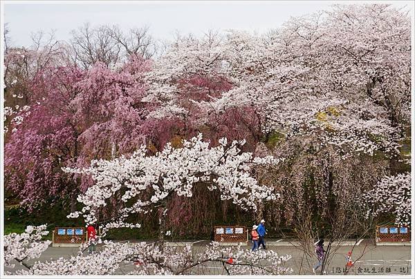 船岡-26-船岡城跡公園.JPG