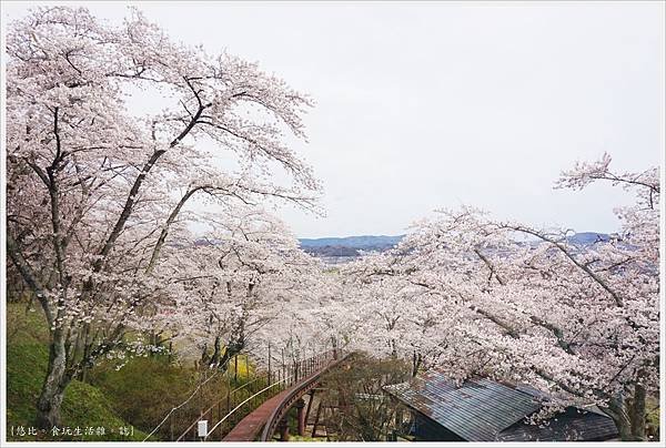 船岡-36-船岡城跡公園.JPG