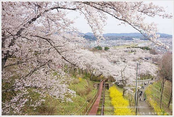 船岡-38-船岡城跡公園.JPG