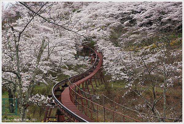 船岡城跡公園-85.JPG