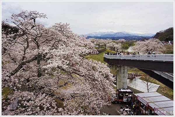 船岡城跡公園-106.JPG