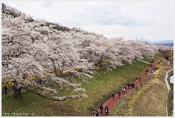 船岡城跡公園-110.JPG