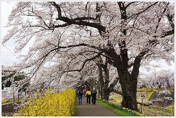 船岡城跡公園-115.JPG