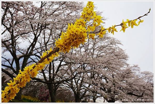 船岡城跡公園-118.JPG