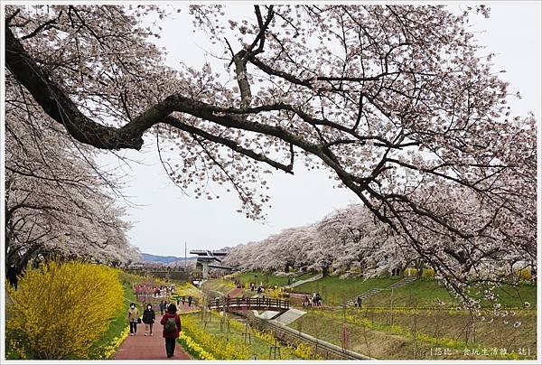 船岡城跡公園-120.JPG