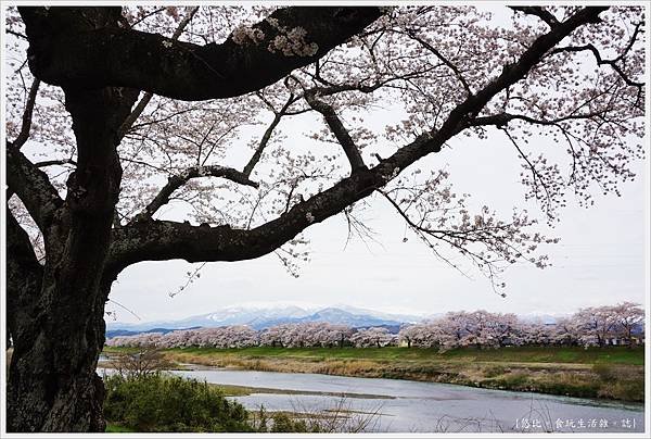 船岡城跡公園-122.JPG