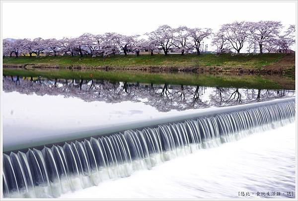 船岡城跡公園-128.JPG