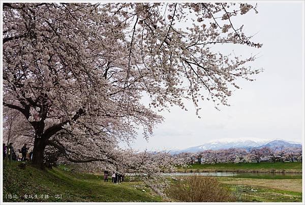 船岡城跡公園-136.JPG