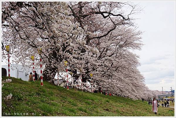 船岡城跡公園-146.JPG