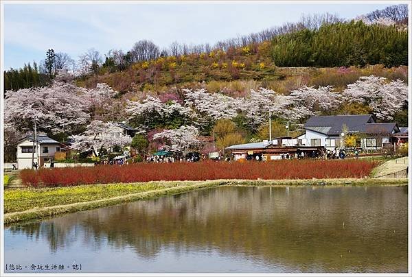 花見山-4.JPG