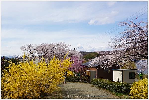 花見山-18.JPG