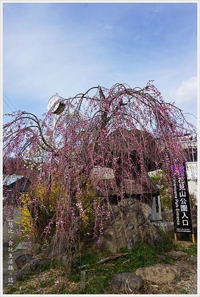 花見山-23-公園入口.JPG