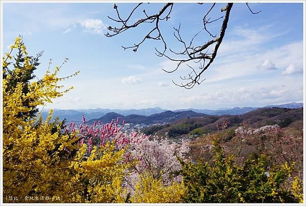 花見山-52.JPG