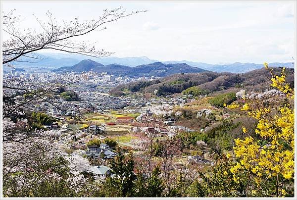 花見山-54-公園頂上.JPG