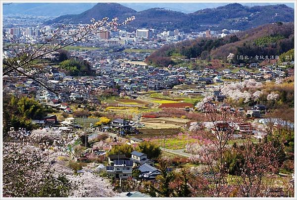 花見山-55-公園頂上.JPG