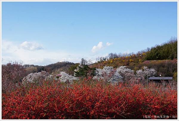 花見山-110.JPG