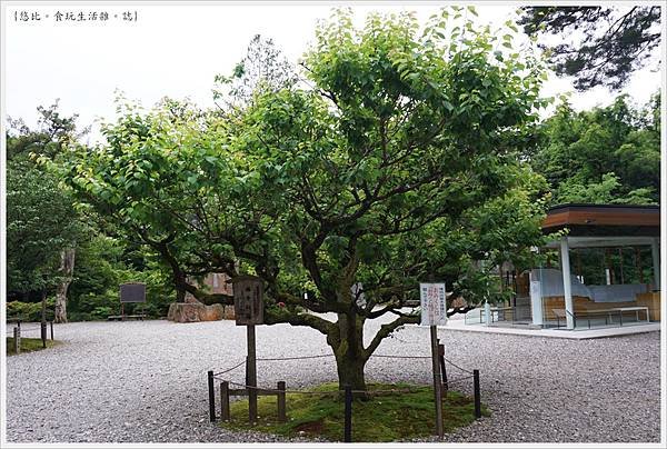 尾山神社-13.JPG