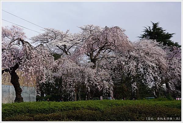 榴岡公園-11.JPG