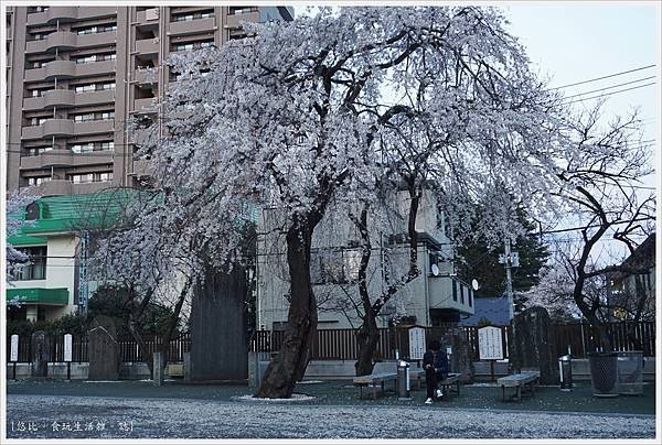 榴岡天滿宮-23.JPG