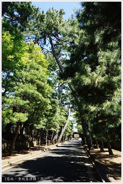 豪德寺-6-參道.JPG