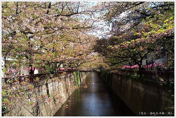 目黑川-8.jpg