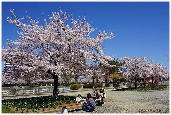 開成山公園-79.JPG