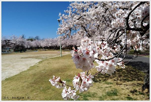 開成山公園-138.jpg