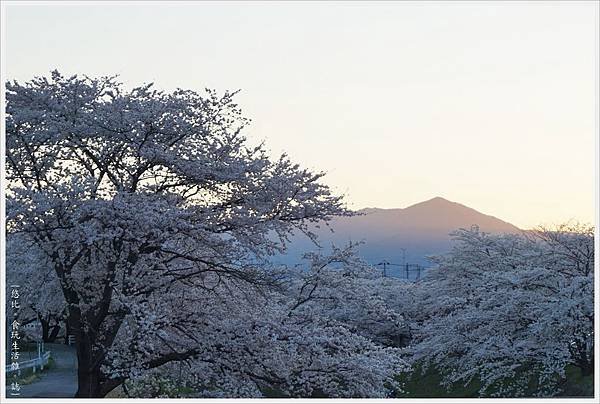 藤田川-1.JPG