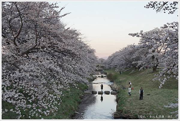 藤田川-4.JPG