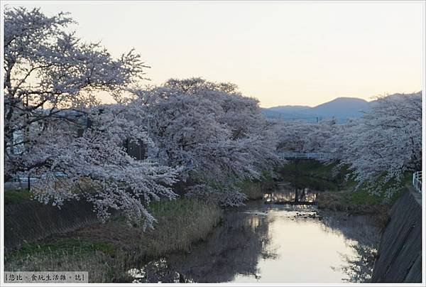 藤田川-2.JPG