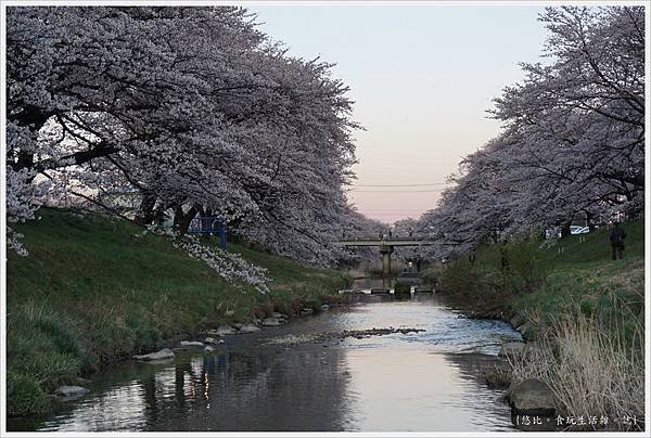 藤田川-15.JPG