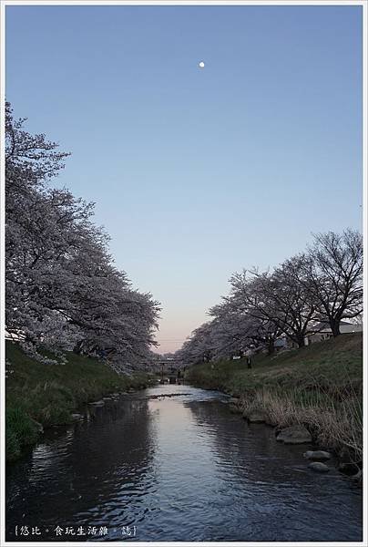 藤田川-20.JPG