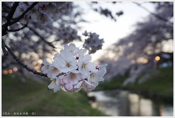 藤田川-30.JPG