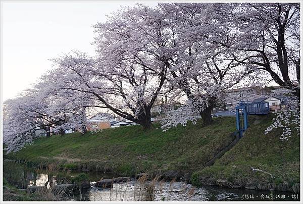 藤田川-32.JPG