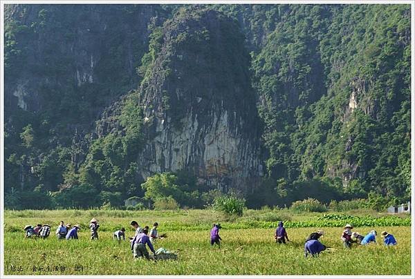 TAM COC-15-自行車.JPG