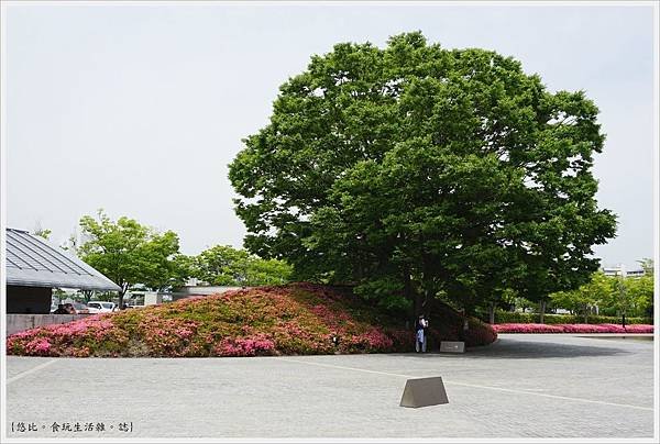 佐川美術館-26.JPG