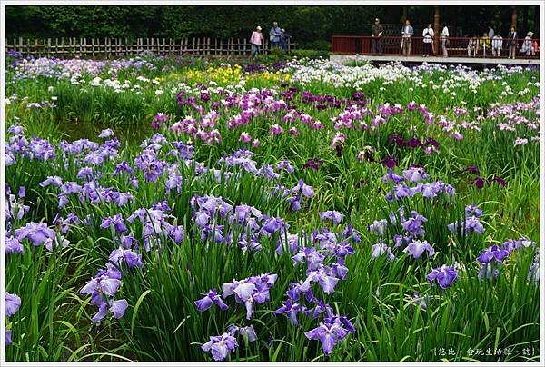 城北花園-58.JPG