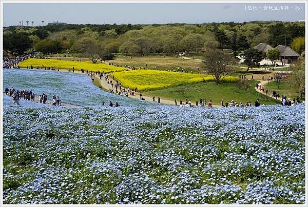 國營日立海濱公園-14.JPG