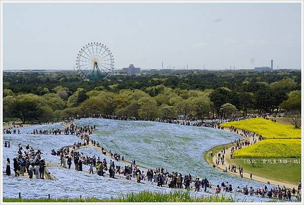 國營日立海濱公園-24.JPG