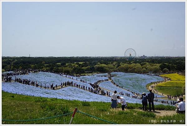 國營日立海濱公園-25.JPG