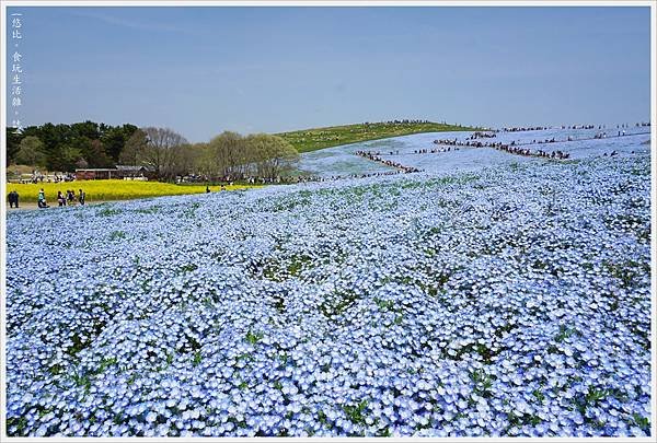 國營日立海濱公園-59.JPG