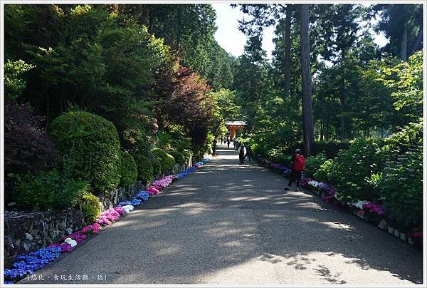 三室戶寺-7.JPG