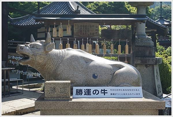 三室戶寺-29.JPG