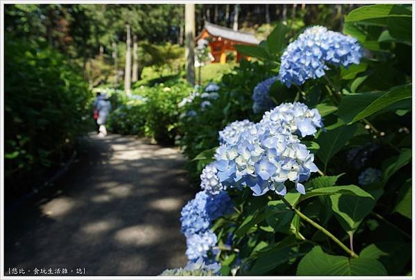 三室戶寺-62.JPG