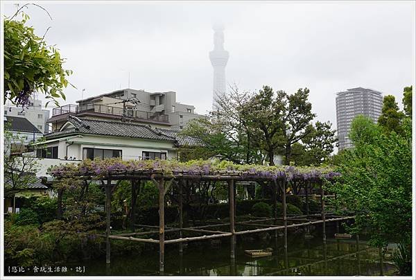 龜戶天神社-5.JPG