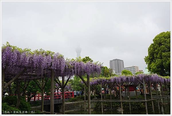 龜戶天神社-16.JPG