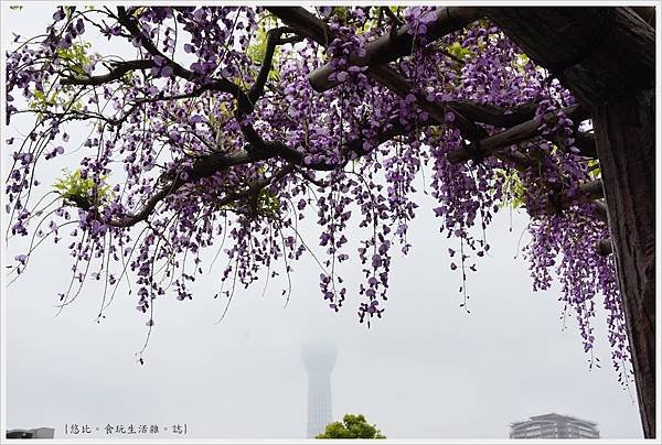 龜戶天神社-17.JPG