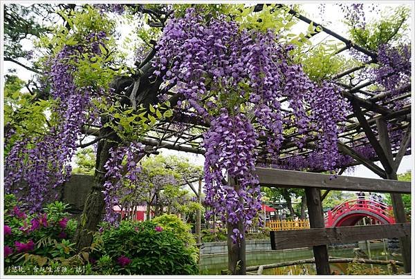 龜戶天神社-24.JPG